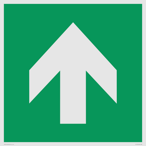 E907 Safe condition: Up / forwards arrow (90 deg supplimentary)